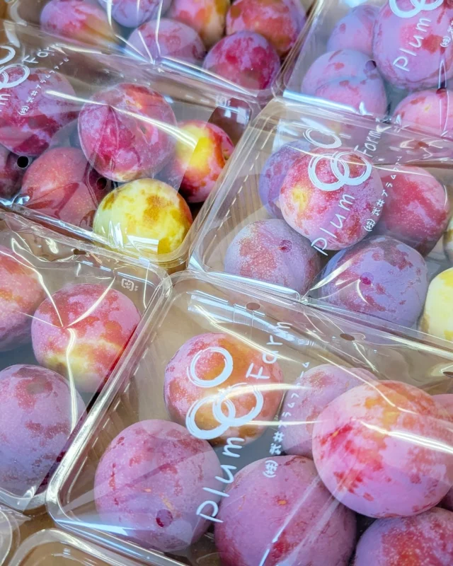 【 🫐季節のフルーツ 入荷してます🍑 】

おはようございます
ニコニコマルシェの橋本です

イチゴがシーズンオフとなり、フルーツコーナーには現在『プラム』『桃』『ブルーベリー』『スイカ』など夏が旬の果物が並んでおります💁

その日に入荷したおすすめの野菜やフルーツはストーリーで(ほぼ毎日)発信していますので、そちらもぜひチェックしてみてくださいね🙌

みなさまのご利用をお待ちしております♩

#道の駅日光 #ニコニコ本陣 #道の駅 #農産物直売所 #栃木旅行 #鬼怒川温泉 #日光旅行 #今市  #NIKKO