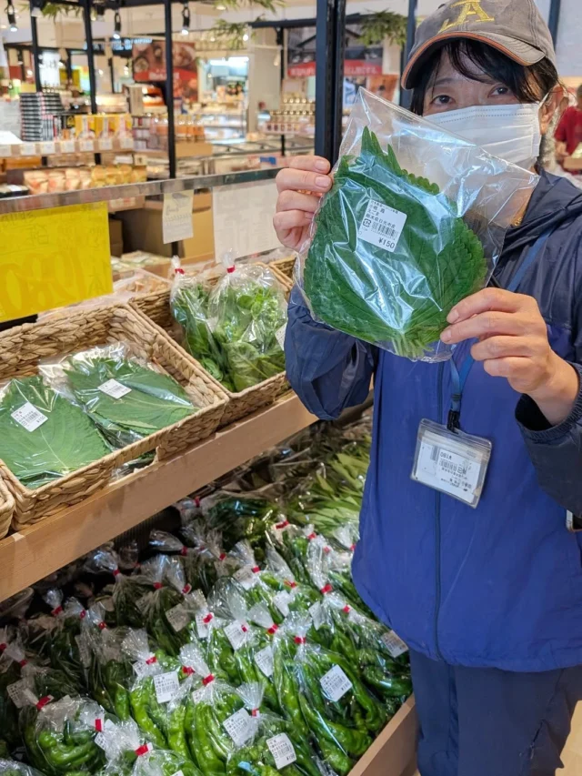 【 エゴマ入荷してます🌿‬ 】

おはようございます
ニコニコマルシェの橋本です

農産物直売コーナーでは今年も小椋さんちの『えごま』が入荷しています!✨

エゴマはシソ科の一種で夏に旬を迎える野菜です☀️
韓国料理によく使われていて、ごま油のような濃厚な香りと風味が特徴です。

醤油漬けやピリ辛漬けなど、ご飯のお供になるレシピがおすすめですよ👍

小椋さんちのエゴマは顔の大きさほどもあるBIGサイズです。
ぜひご賞味ください😊

#道の駅日光 #ニコニコ本陣 #道の駅 #栃木旅行 #日光旅行 #鬼怒川温泉 #NIKKO #TOCHIGI