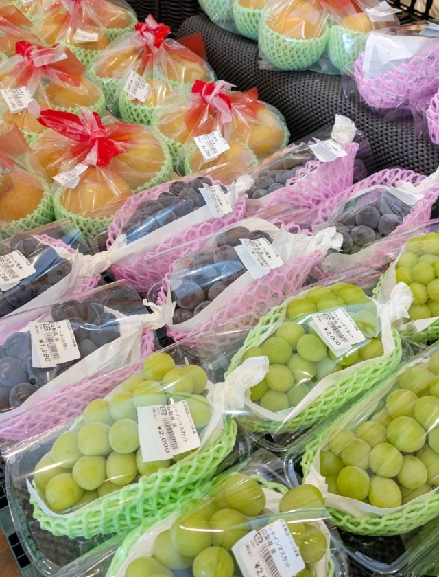 【 🍑秋のフルーツ入荷してます🍇 】

おはようございます
ニコニコマルシェの橋本です

農産物直売コーナーの入口には秋が旬のフルーツがびっしりと並んでいます☺️

地元農家さんが作っている梨やメロンは特にオススメです️よ⭕️

イチゴの有無についてのお問い合わせもよくいただくのですが、『夏おとめ』の出荷も終わってしまったため、今の時期は取り扱いがございません💦

例年12月の頭ごろには出荷が始まるので、また改めてお知らせいたしますね💁🍓

皆さまのご利用をお待ちしてます🐒

#道の駅日光 #ニコニコ本陣 #道の駅めぐり #農産物直売所 #栃木旅行 #日光旅行 #鬼怒川温泉 #NIKKO #TOCHIGI