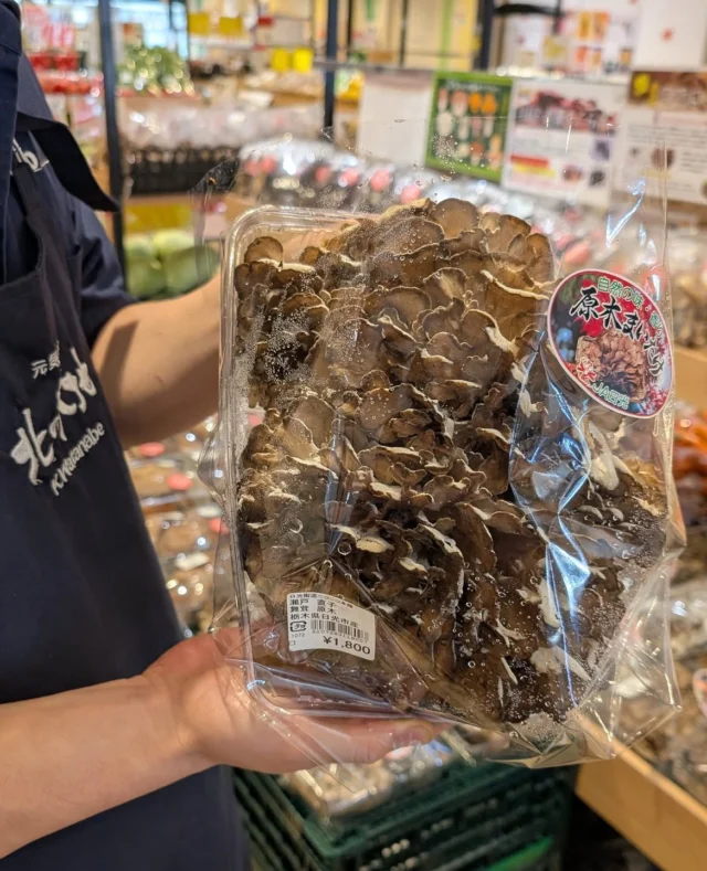 【 BIGな原木まいたけ入荷してます 】

おはようございます
ニコニコマルシェの橋本です

この季節の目玉商品『原木まいたけ』が本日もたっぷりと入荷しています☺️

写真のまいたけは今日の売り場の中でいちばん大きなもので、
両手で持っても溢れるくらいの超BIGサイズです👏

このほかにも旬のキノコ類を沢山ご用意してますよ🙋‍♀️
ぜひ皆さまお立ち寄りください✨

#道の駅日光 #ニコニコ本陣 #道の駅 #栃木 #栃木旅行 #日光 #日光旅行  #鬼怒川温泉 #NIKKO