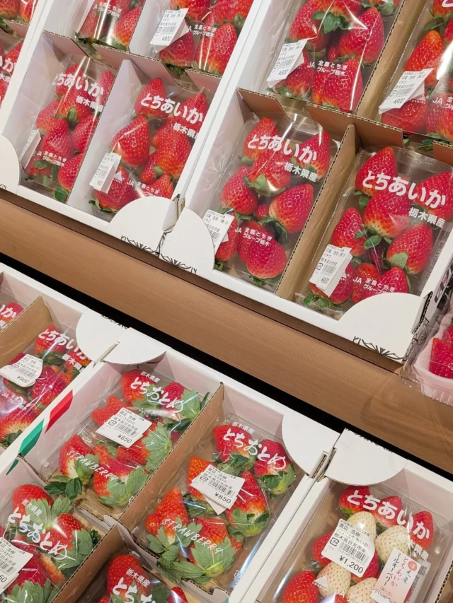 【 🍓栃木県産いちご入荷してます🍓 】⁡
⁡⁡
⁡おはようございます⁡
⁡ニコニコマルシェの橋本です⁡
⁡⁡
⁡農産物直売コーナーでは『栃木県産いちご』の出荷が始まりました！⁡
⁡⁡
まだまだ少量ですが、これから徐々に量も品種も増えていきますよ🥳⁡
⁡⁡
野菜やフルーツの入荷情報は (ほぼ)毎日インスタグラムのストーリーでお知らせしているのでぜひチェックしてみてください- ̗̀📣⁡
⁡⁡
⁡#道の駅日光 #ニコニコ本陣⁡ #道の駅 #栃木の苺 #栃木旅行 #日光旅行 #鬼怒川温泉 #とちあいか #農産物直売所