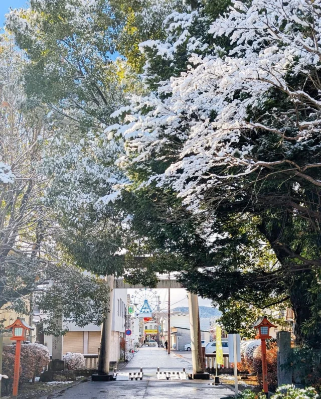 【 ☃️今シーズン初雪です☃️ 】⁡
⁡⁡
⁡おはようございます⁡
⁡ニコニコマルシェの橋本です⁡
⁡⁡
今朝は凄まじい冷え込みでしたね❄⁡
⁡今市エリアもうっすらと雪が積もりました☃️⁡
⁡⁡
⁡道路は既に溶けているので車の走行には問題はなさそうですが、⁡夜は路面の凍結もしそうなのでご注意くださいね😵⁡
⁡⁡
⁡ちなみに鬼怒川や奥日光は今市とは比べ物にならないくらい⁡
⁡積もっているのでお車の方はスタッドレスタイヤ必須です🚗³₃⁡
⁡⁡
⁡ご来店の際はお気をつけてお越しください🙌⁡
⁡⁡
⁡#道の駅日光 #ニコニコ本陣 #栃木 #栃木旅行 #日光 #日光旅行 #鬼怒川温泉 #NIKKO #初雪