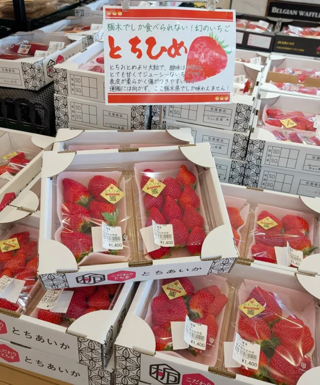 【🍓冬が旬の野菜 入荷してます🍓 】⁡
⁡⁡
⁡おはようございます⁡
⁡ニコニコマルシェの橋本です⁡
⁡⁡
⁡あっという間に1月も後半ですね⁡
⁡この時期は年間で最も寒い季節と言われています🍃⁡⁡
⁡⁡
⁡農産物直売コーナーではそんな寒さにも負けない旬のフルーツや野菜がたっぷり入荷してますよ🙋‍♀️⁡
⁡⁡
⁡幻のイチゴとよばれる『とちひめ』は例年よりも出荷数が増えているので味わうなら今かベストです!
⁡⁡
山菜類もここから徐々に増えていくので楽しみですね☺️
⁡
そのほか⁡お野菜の入荷情報は(ほぼ)毎日インスタのストーリーでお知らせするのでぜひチェックしてみてください📢⁡⁡
⁡⁡
⁡#道の駅日光 #ニコニコ本陣 #道の駅 #栃木旅行 #日光旅行 #鬼怒川温泉 #道の駅めぐり #NIKKO #TOCHIGI
⁡⁡
⁡