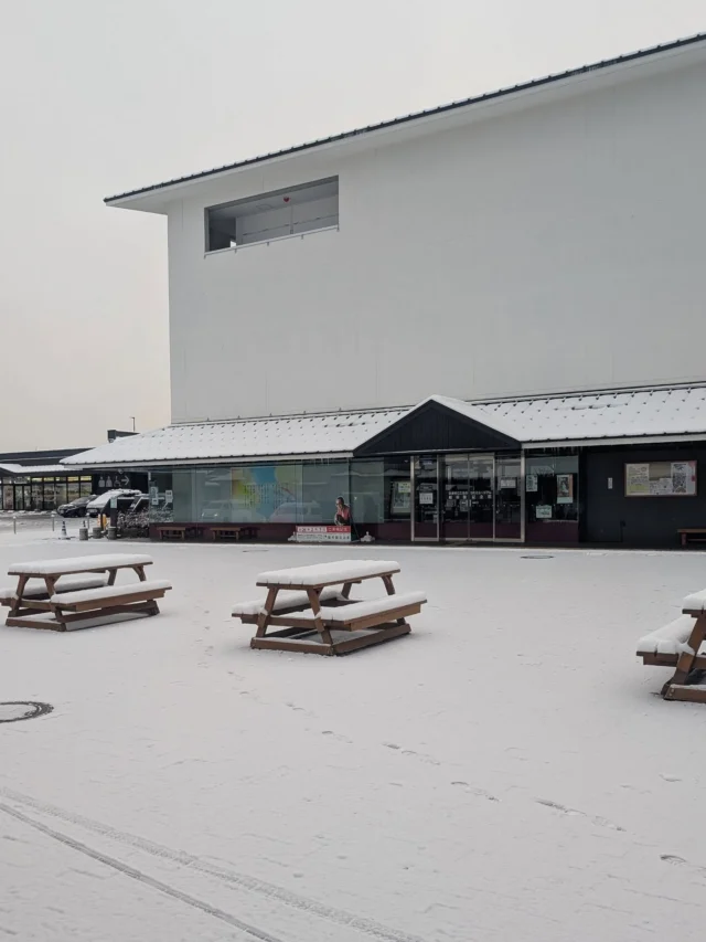 【 ⛄️2/8 7:30 今市イマソラ⛄️ 】⁡
⁡⁡
⁡おはようございます⁡
⁡ニコニコマルシェの橋本です⁡
⁡⁡
⁡本日は全国的に雪の所が多いですね⁡
⁡今市周辺も現時点で10cmくらいの積雪です❄⁡
⁡
⁡宇都宮―今市の有料道路は⁡
⁡除雪をして下さっているので⁡問題なく走行できました🙋‍♀️⁡⁡⁡
⁡(珍しく宇都宮の方が積もっていましたね)
⁡⁡⁡
⁡道の駅周辺も朝イチで雪かきをしてありますが、⁡
⁡お越しの際はお足元に充分お気をつけください🙏⁡⁡
⁡⁡
⁡本日もご来店をお待ちしております
⁡⁡⁡
⁡⁡#道の駅日光 #ニコニコ本陣 #栃木 #栃木旅行 #日光 #日光旅行 #イマソラ 
⁡
⁡
⁡⁡
⁡